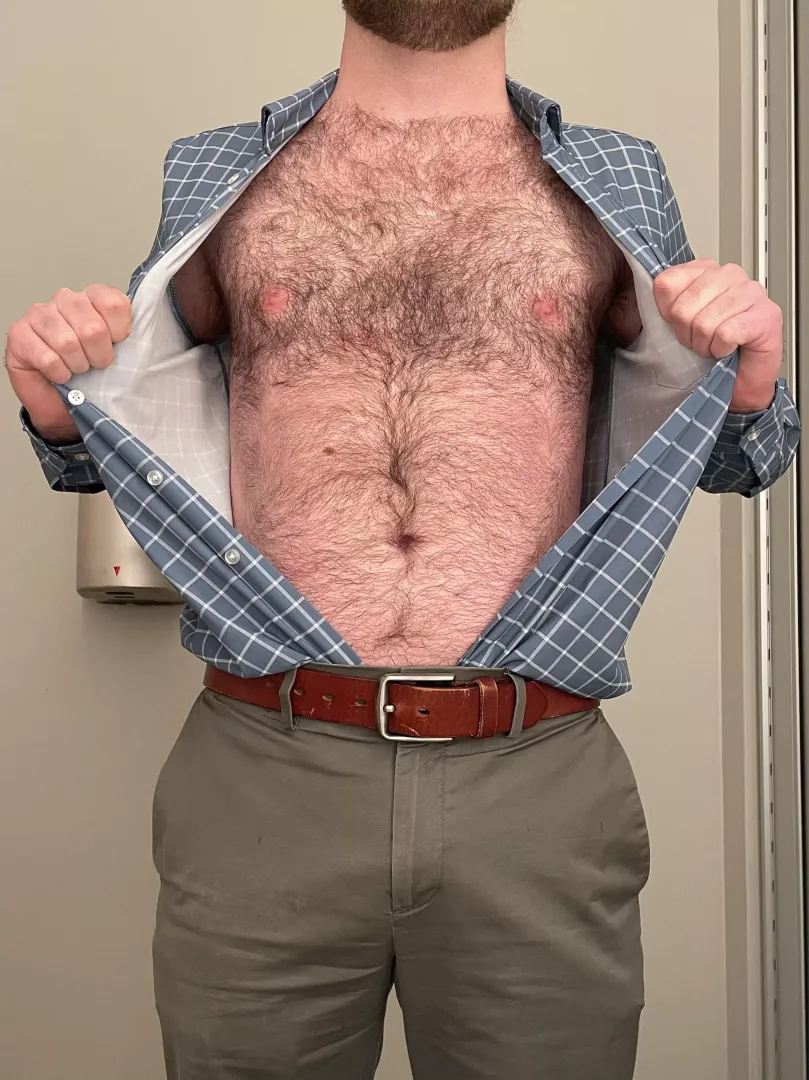 Chest hair + belly hair