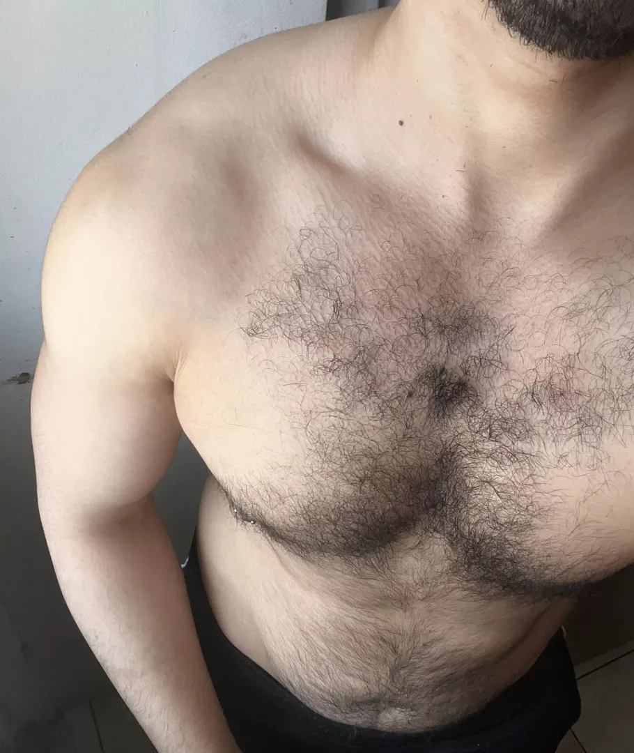 Chest is coming along