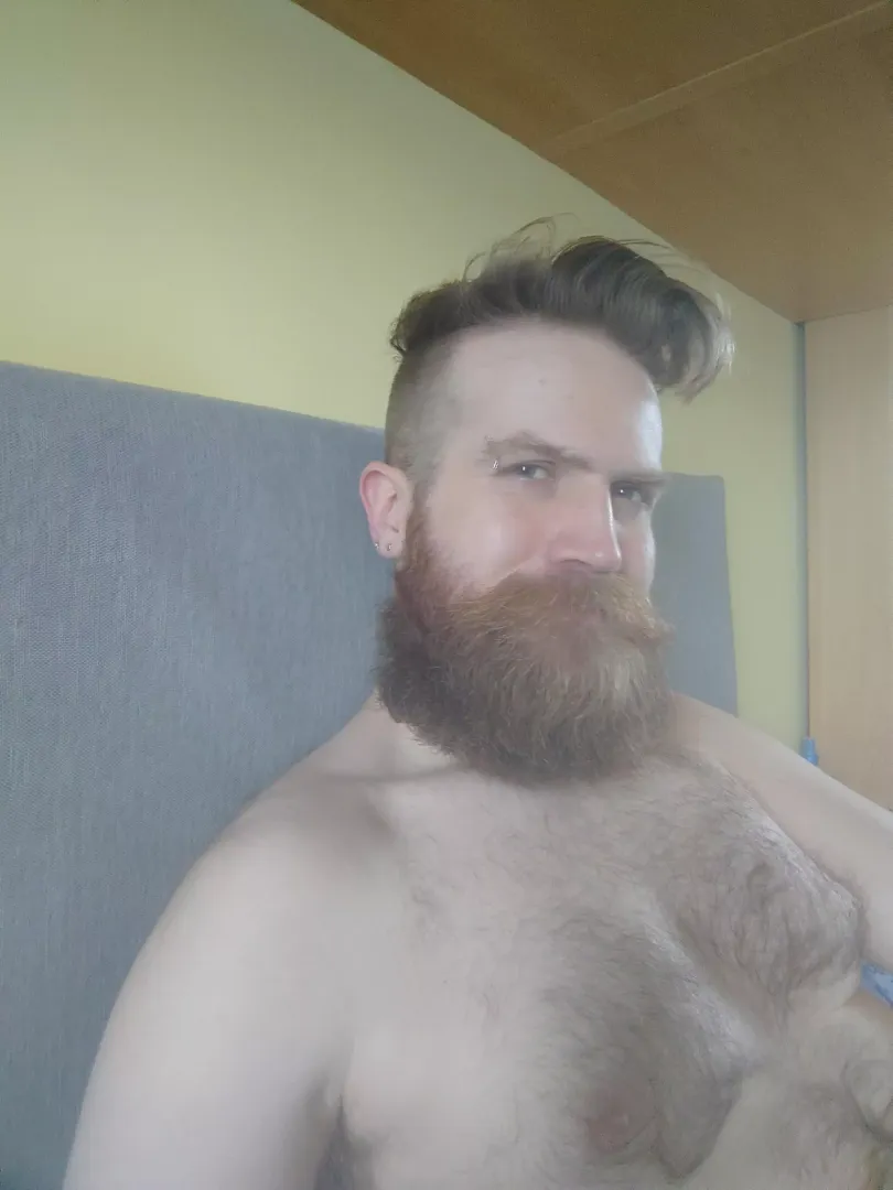 chilling in bed
