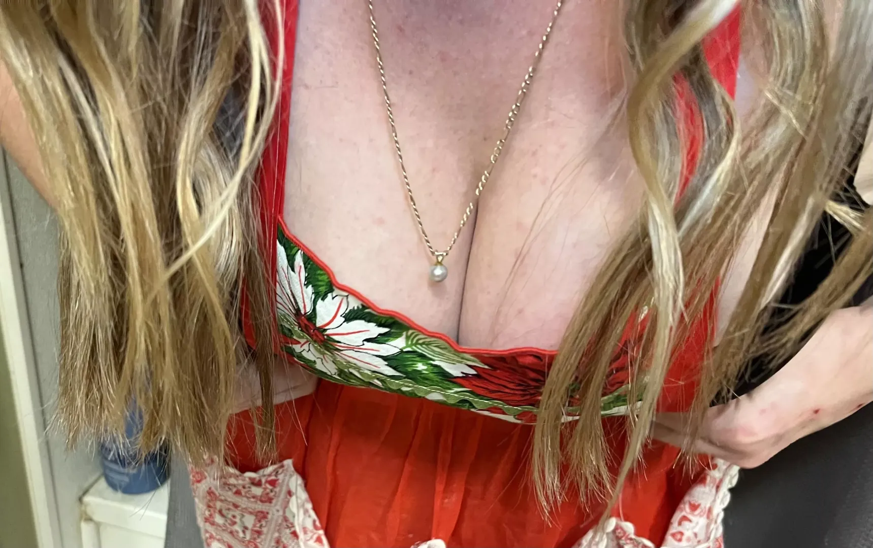 Christmas apron