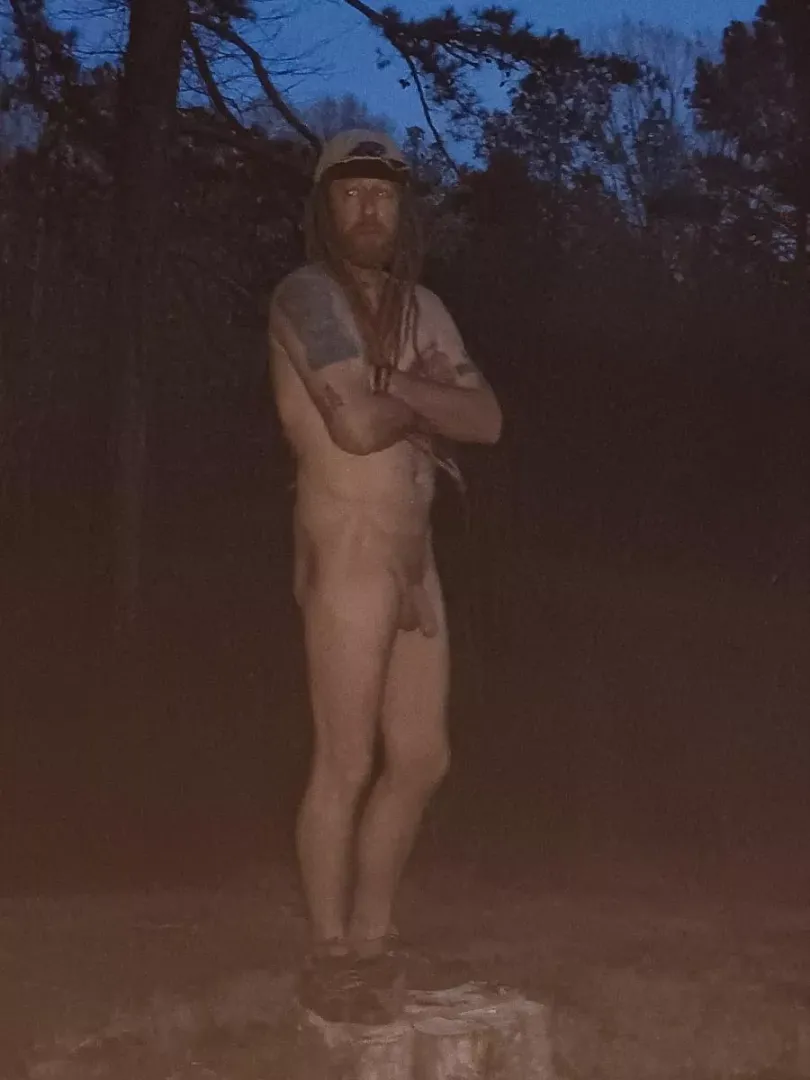Chump on a stump