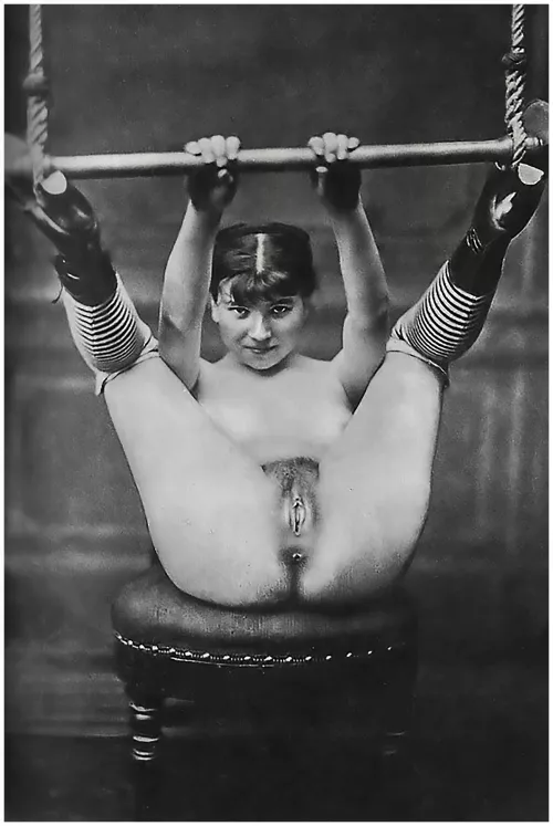 Circus