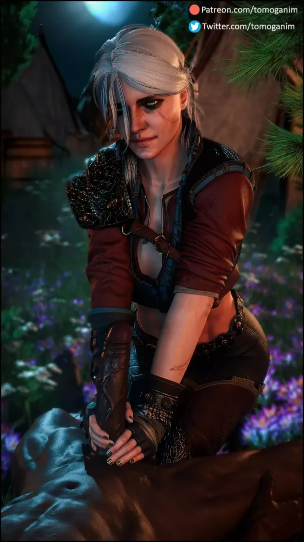 Ciri (Tomoganim)