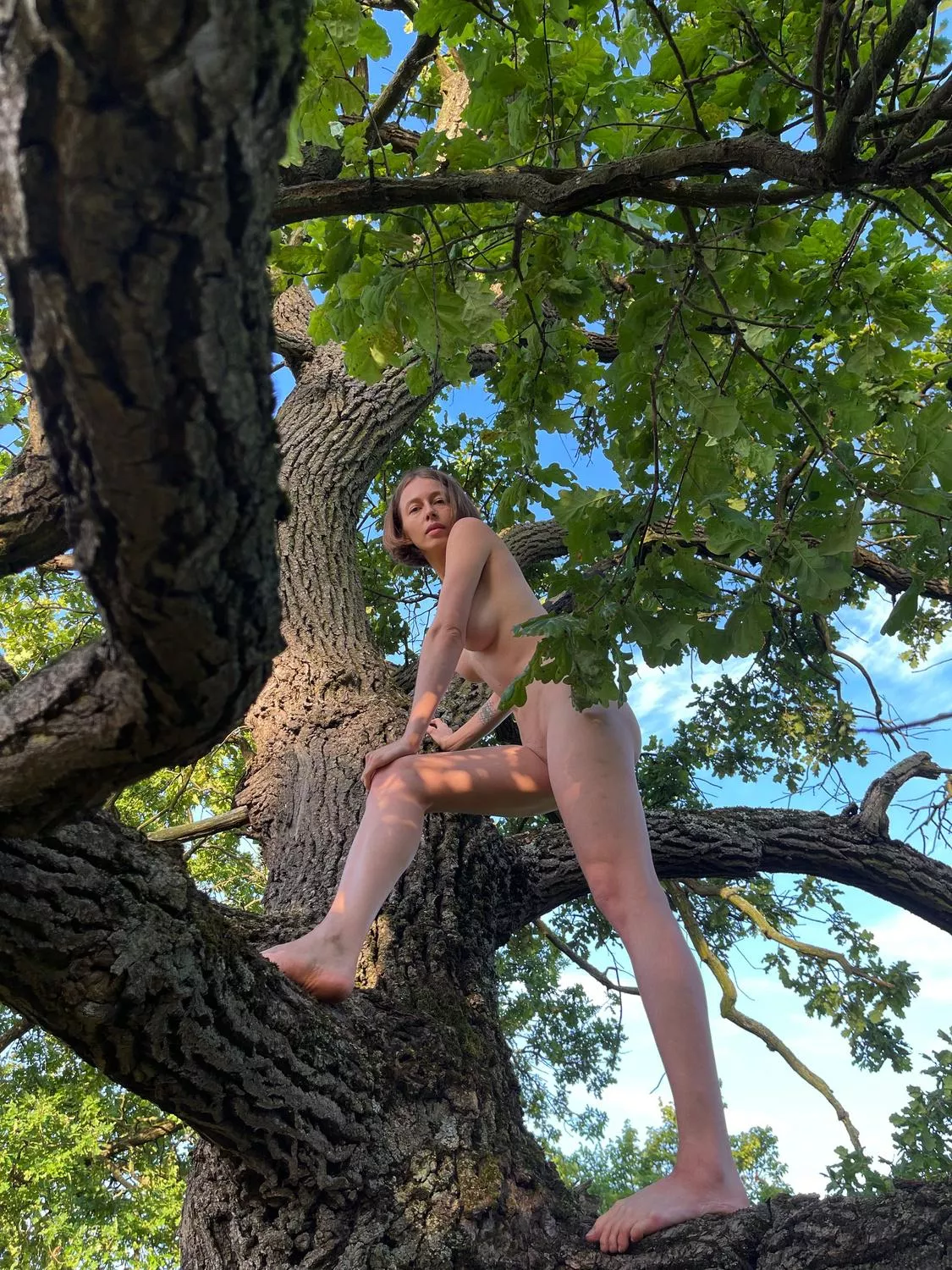 Climbing a tree naked is not always easy