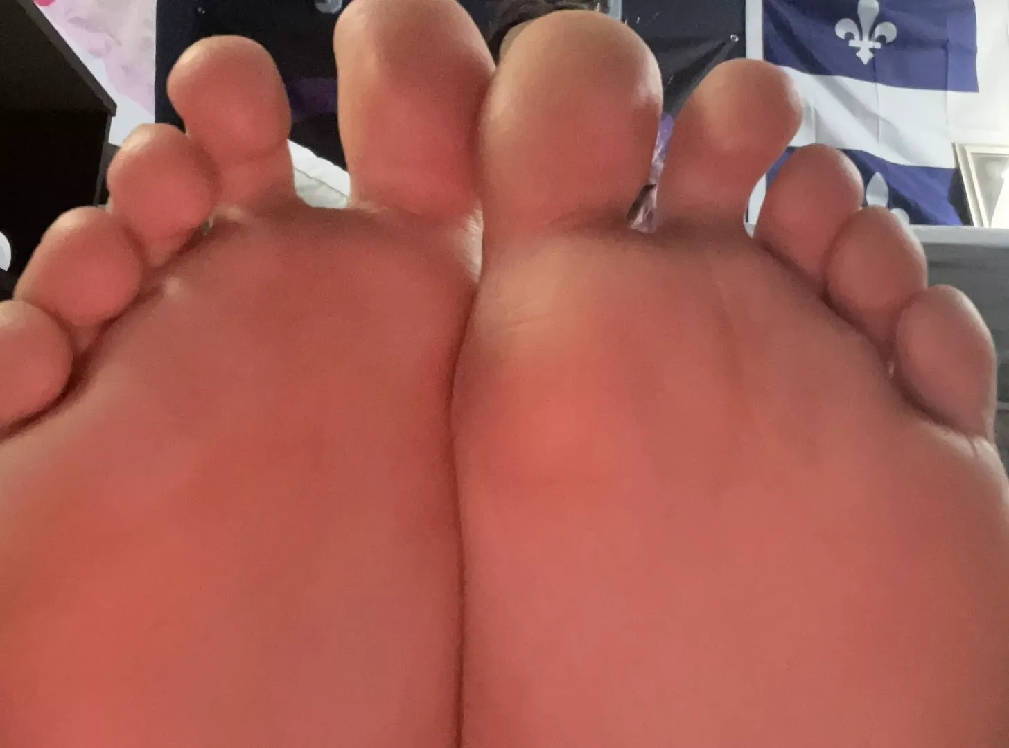 Close up ~w~