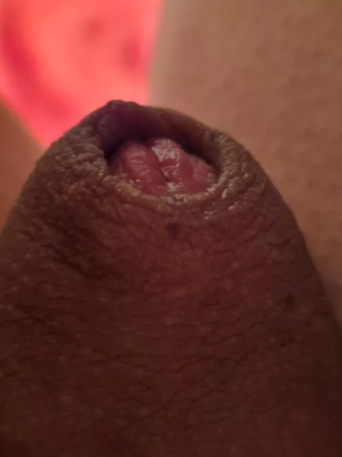 Closeup [32]