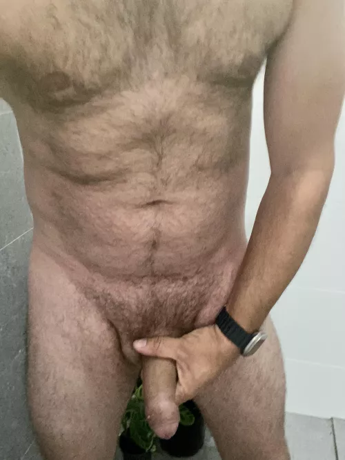 Cock needs a home