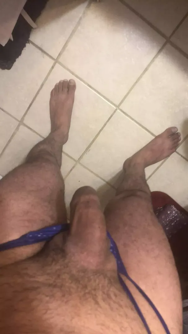 Cock