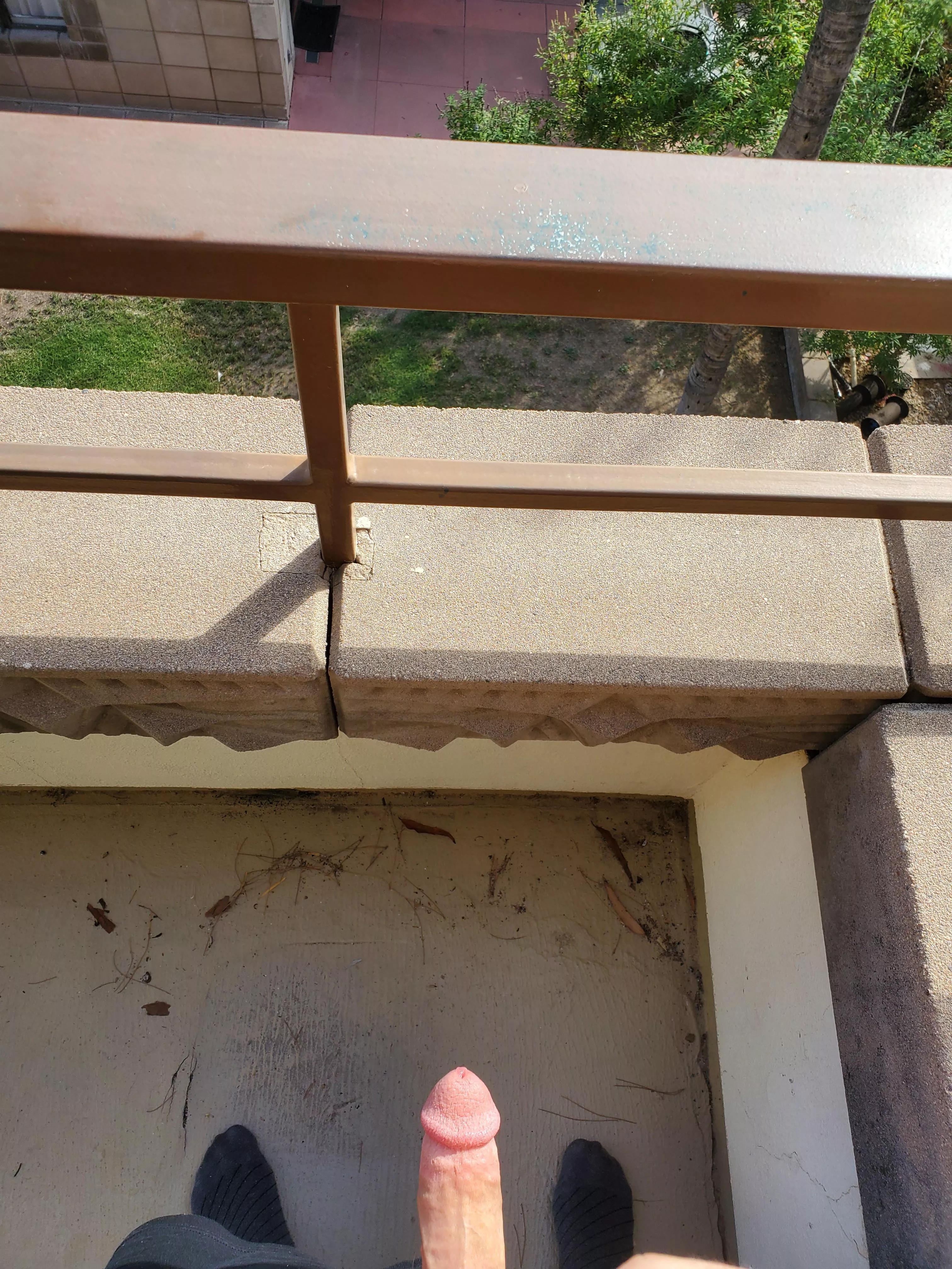 cock out on the hotel balcony