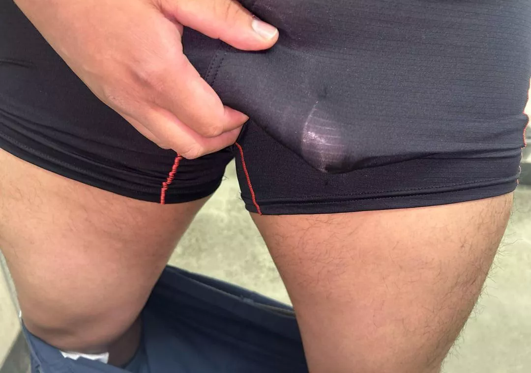 Cock outline 