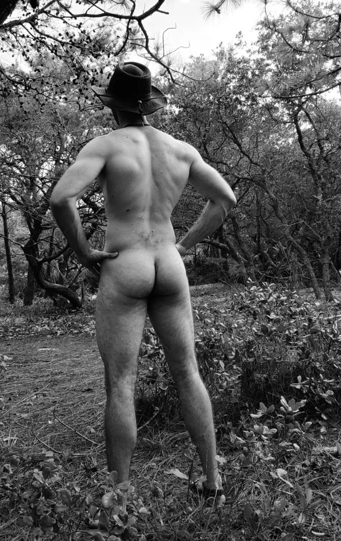 Cockodile Dundee