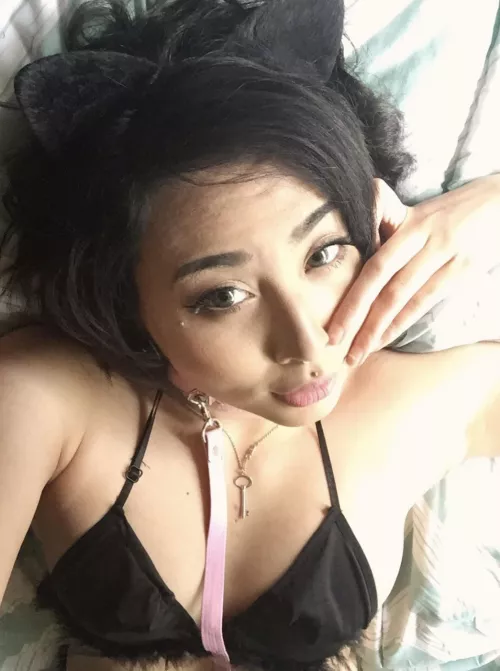 Collared and leashed for you