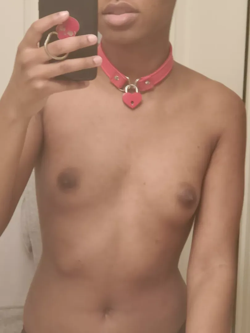 collared and (not) owned!
