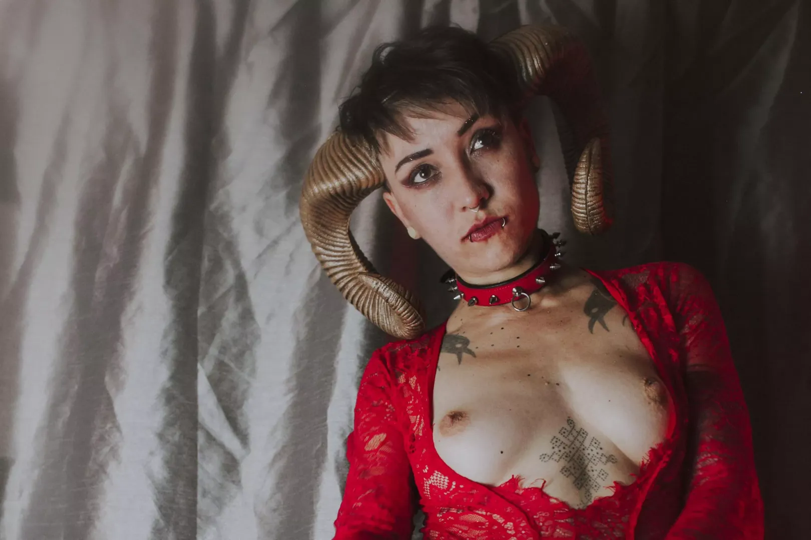 collared faun