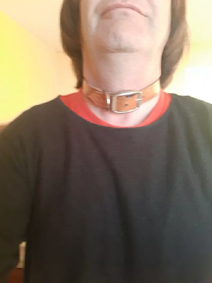Collared for the day by my Master, every day now!