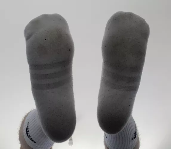 Come and sniff these….