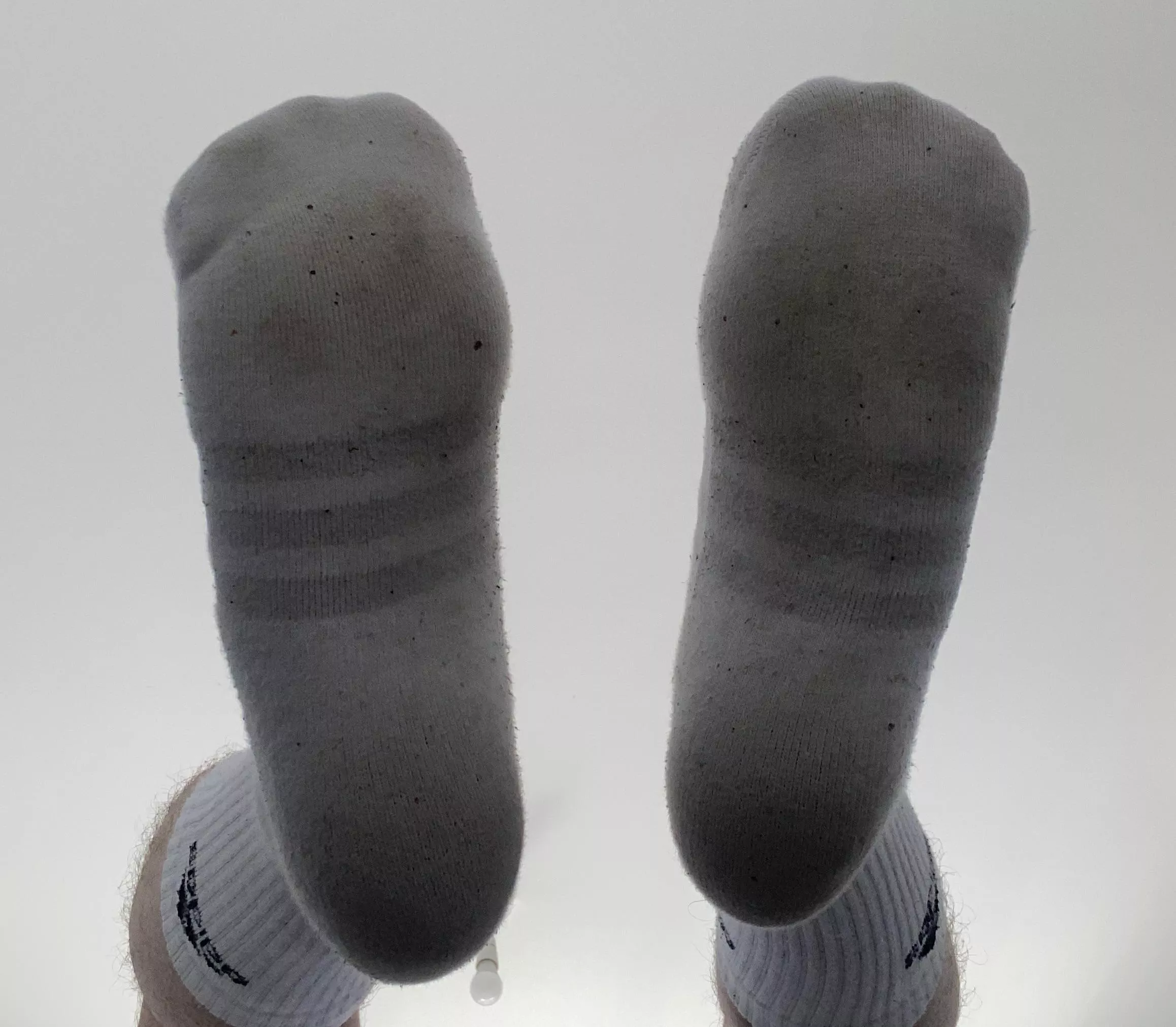 Come and sniff these….