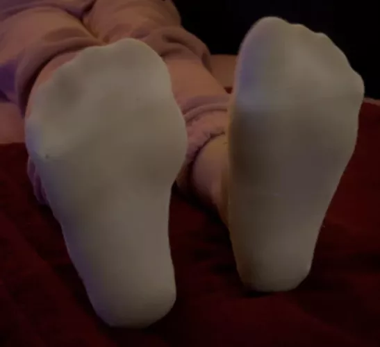 come closer! tell me what do they smell like?