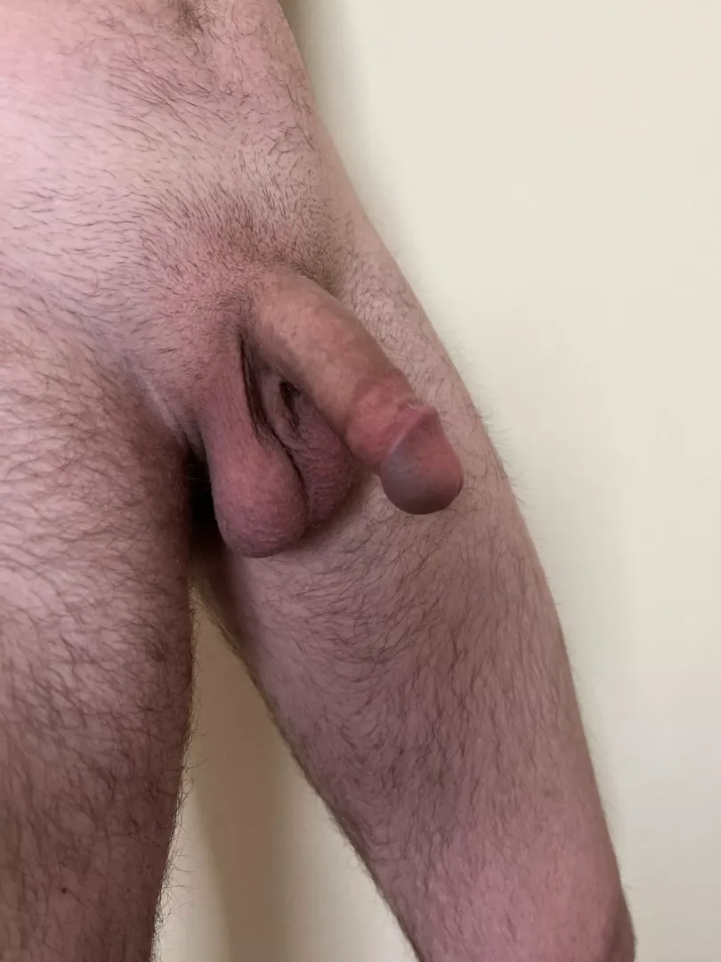 Come get on your knees and put it all in your mouth