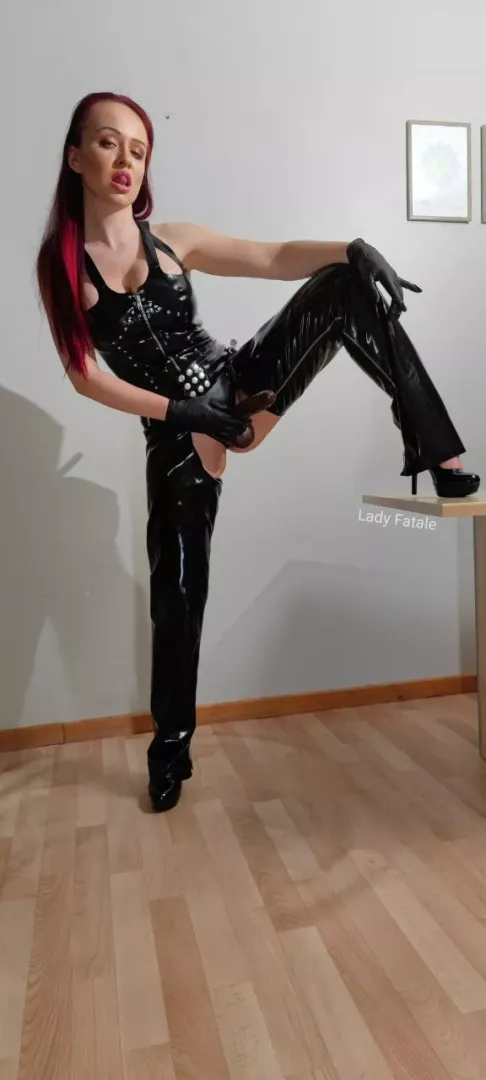 Come kneel in front of me and worship my cock