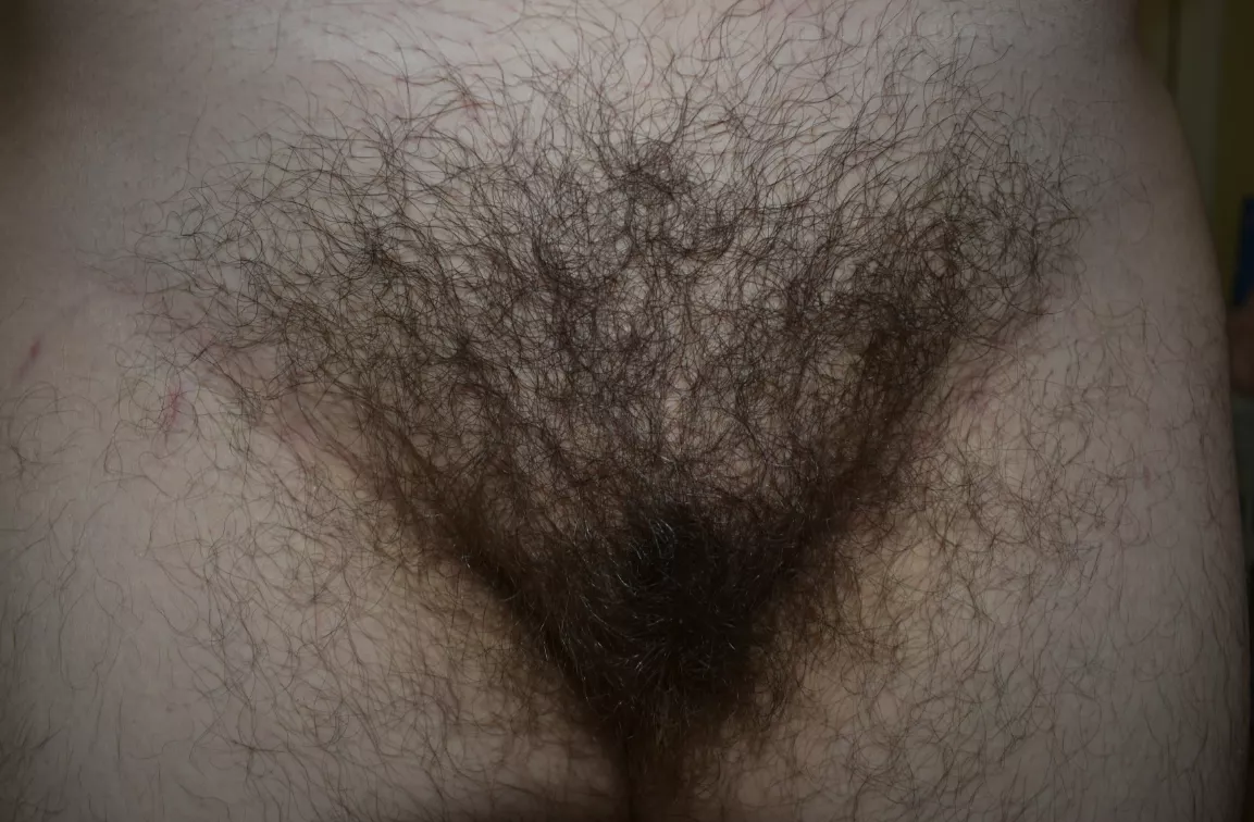 Come pet it ;)