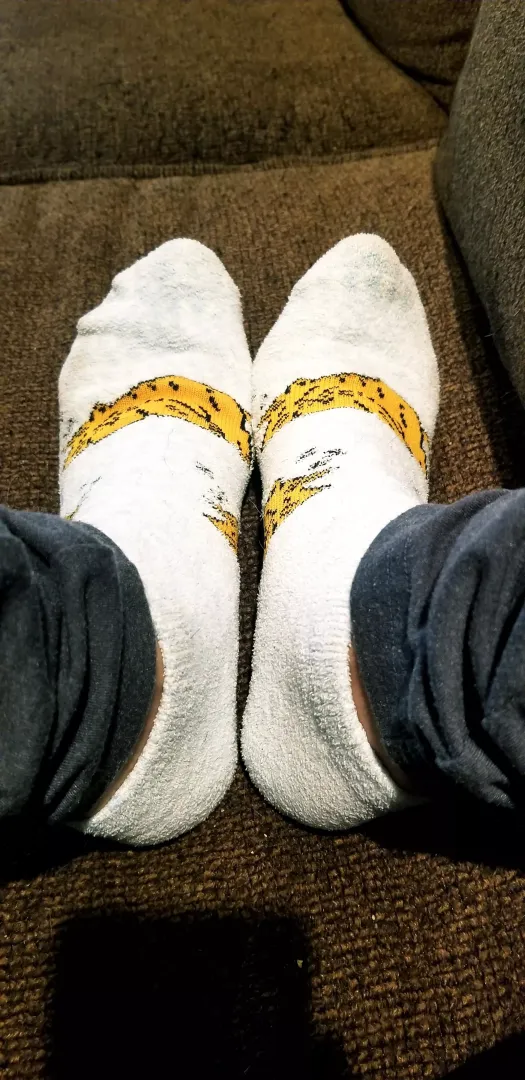Come sniff my dirty kitty socks ❤ [F]