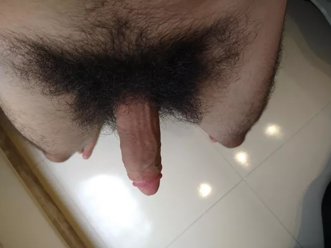 Come take a sniff