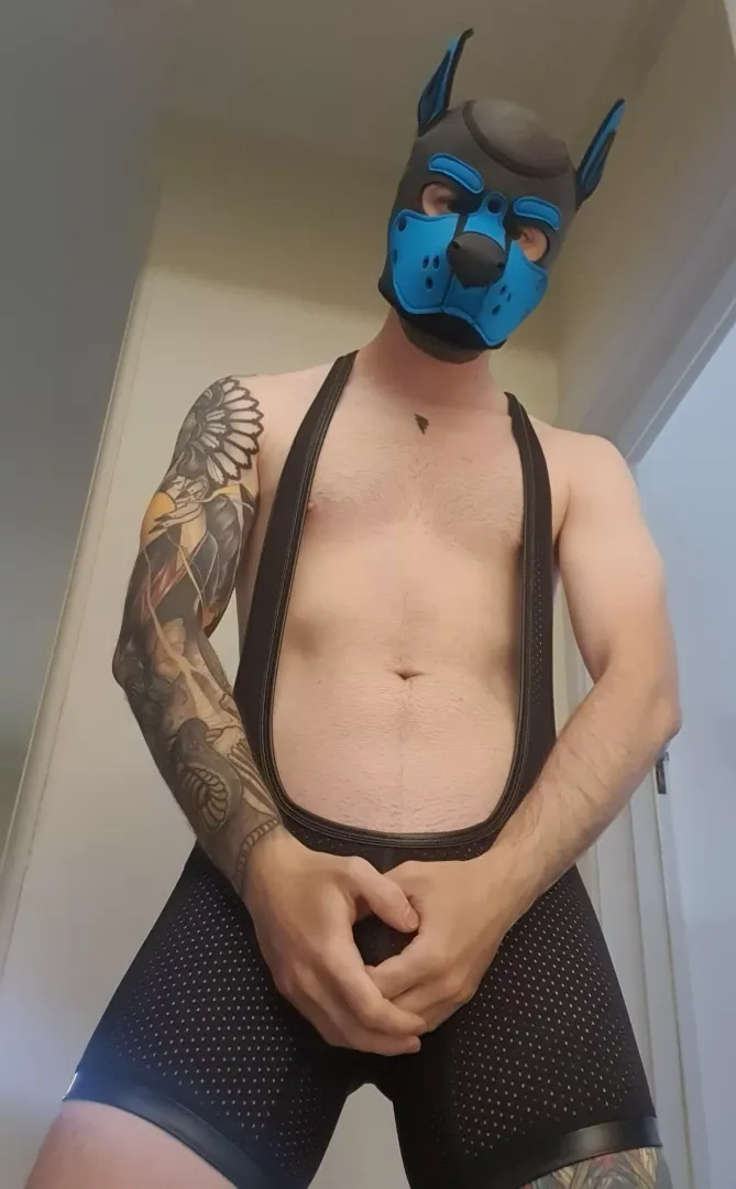 Come to puppy 💙
