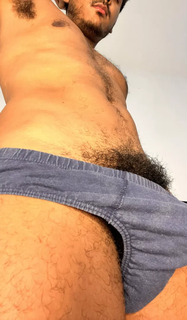 Come to sniff my briefs