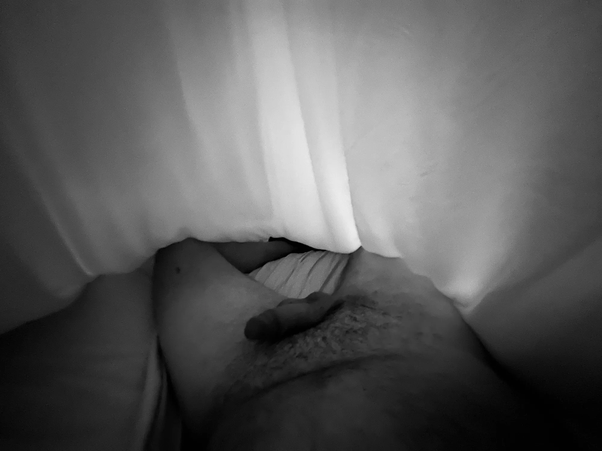 Comforter
