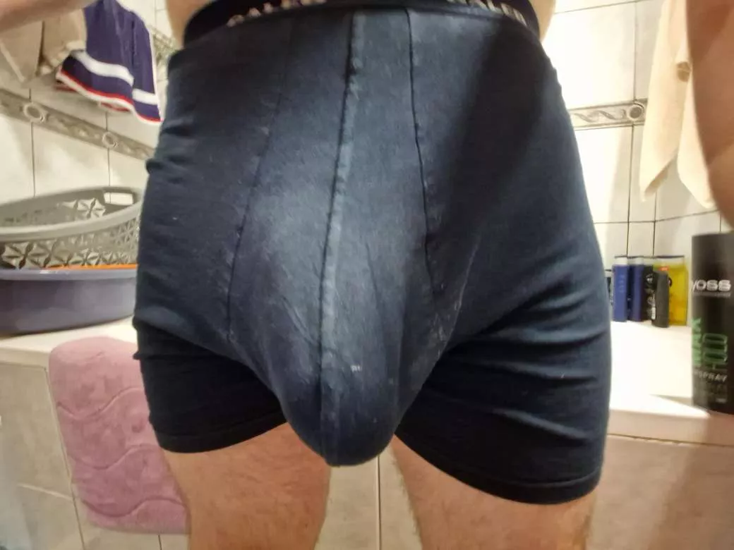 Compare with massive bull?