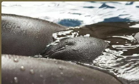 cooling off