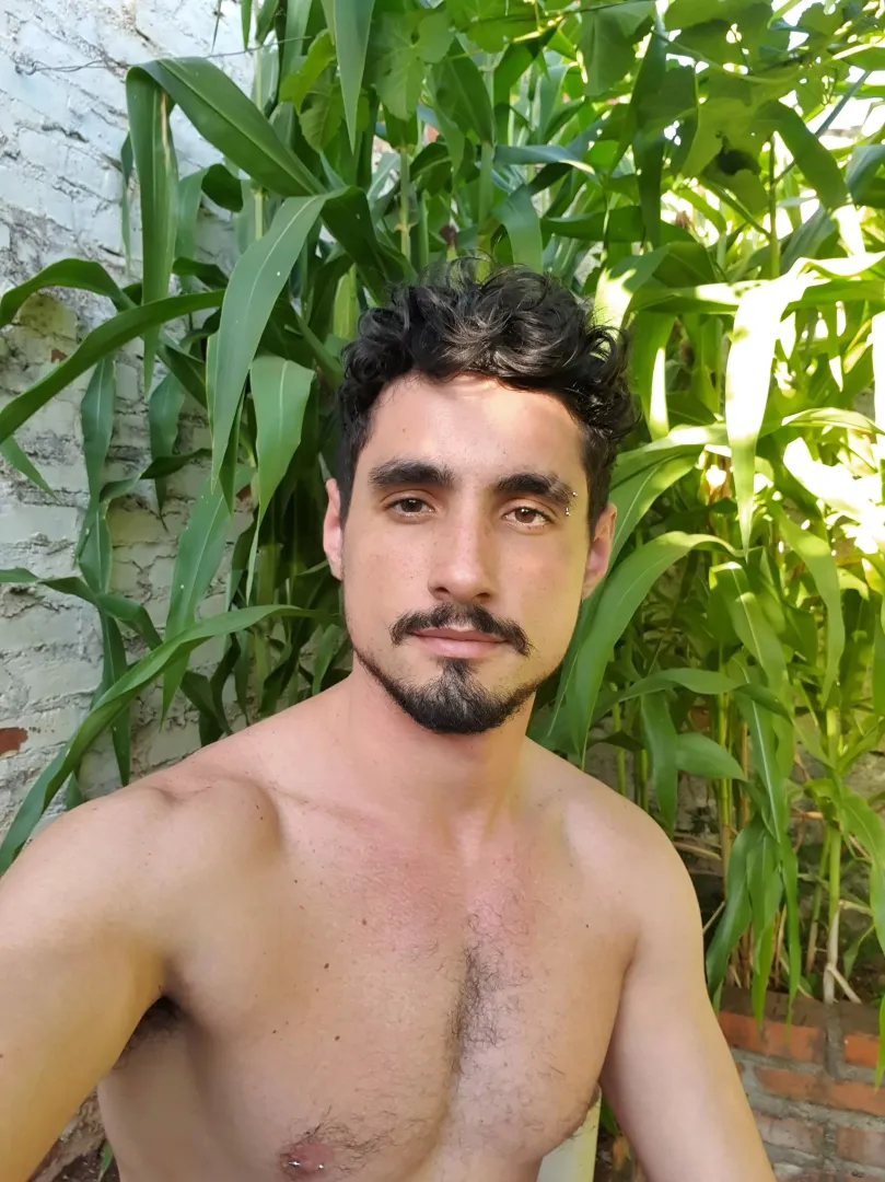 Corn in backyeard