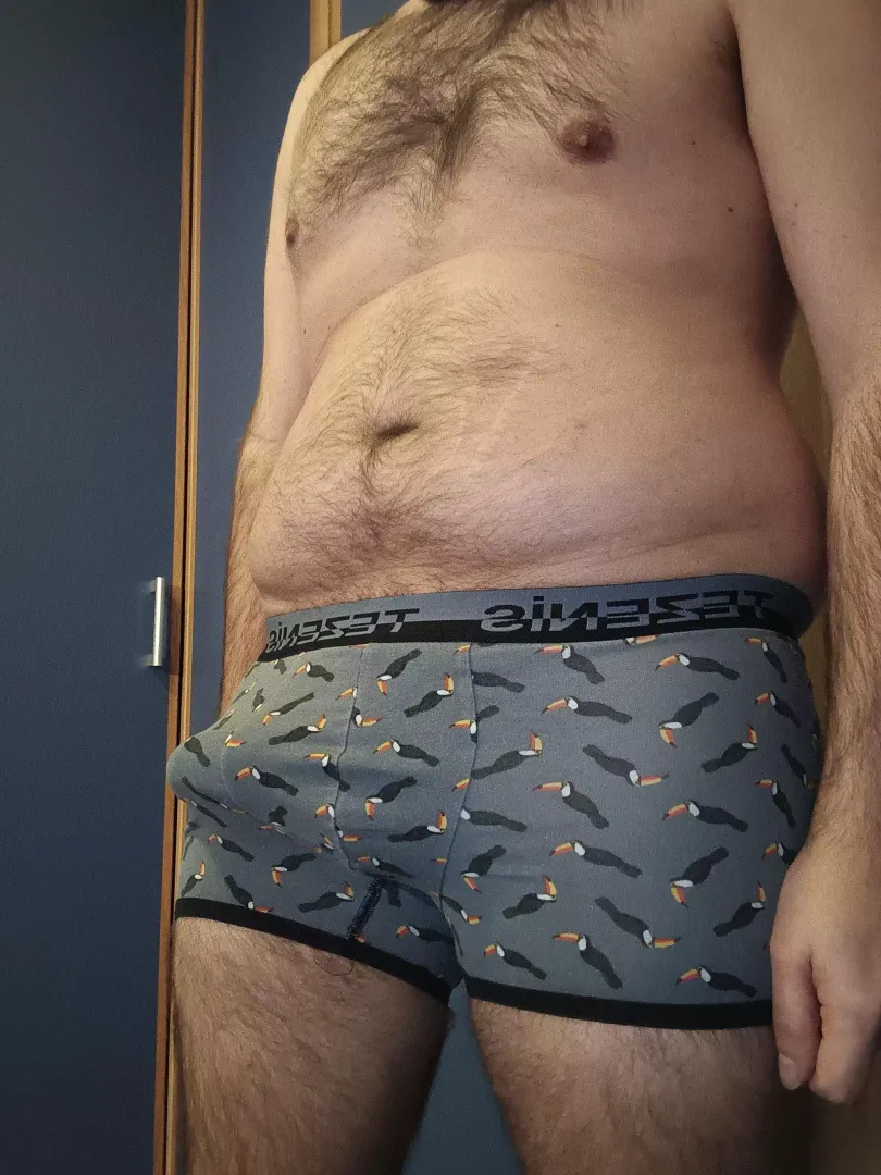 Could I interest you in a bulge?