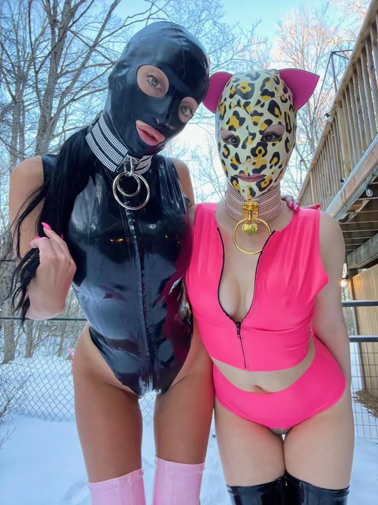 Could you handle us?