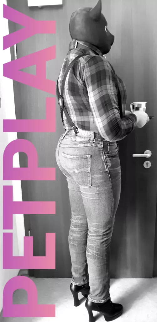 cover pig 🐽