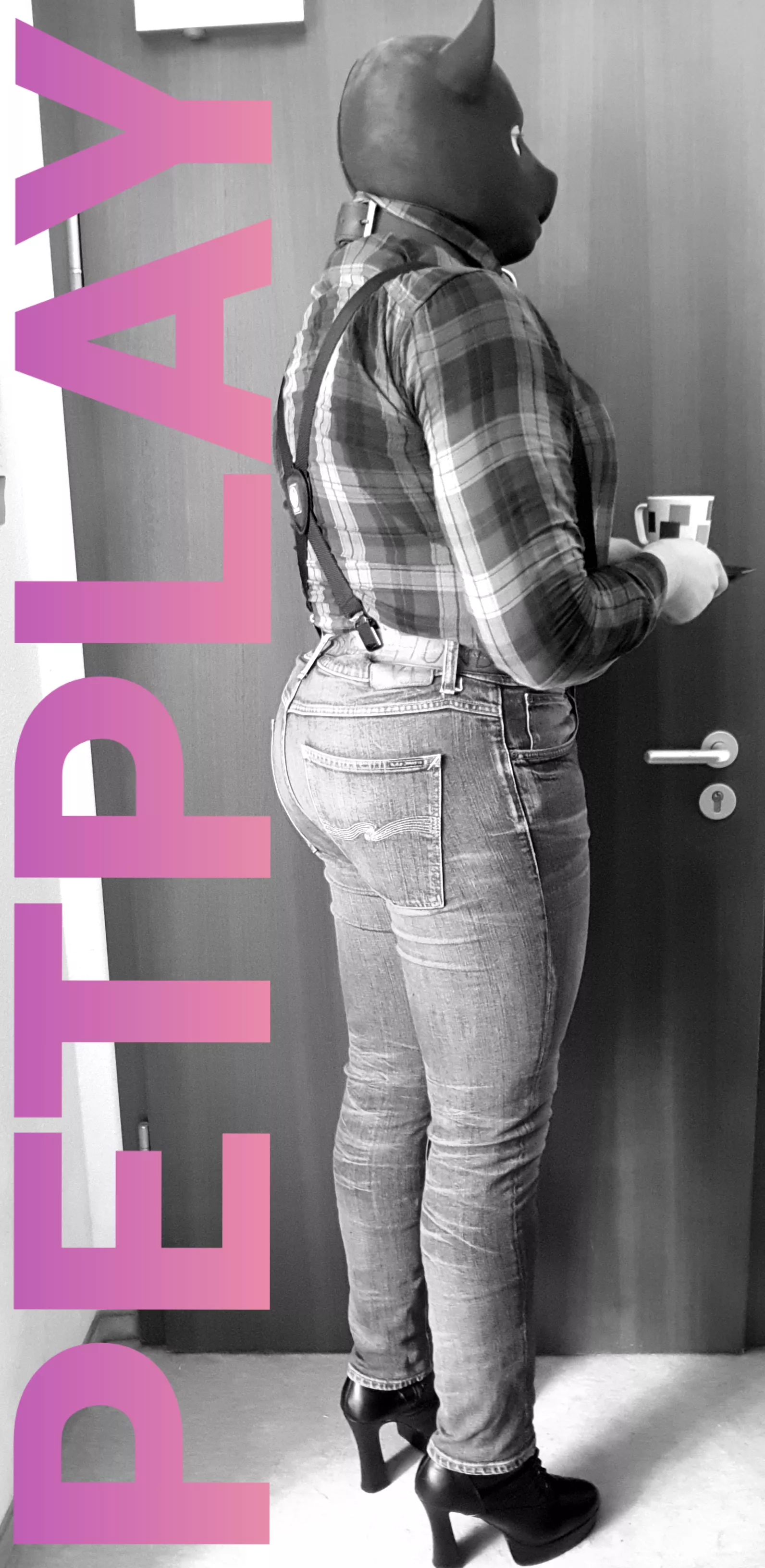 cover pig 🐽