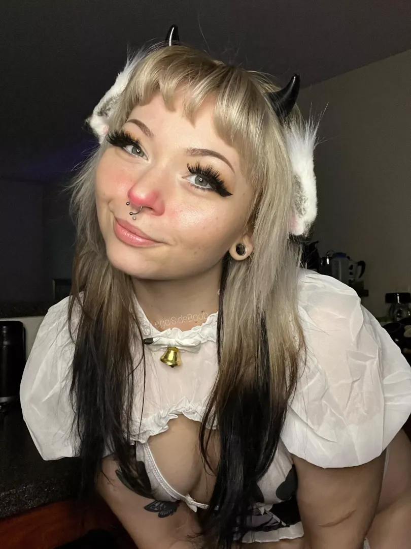 cow makeup!