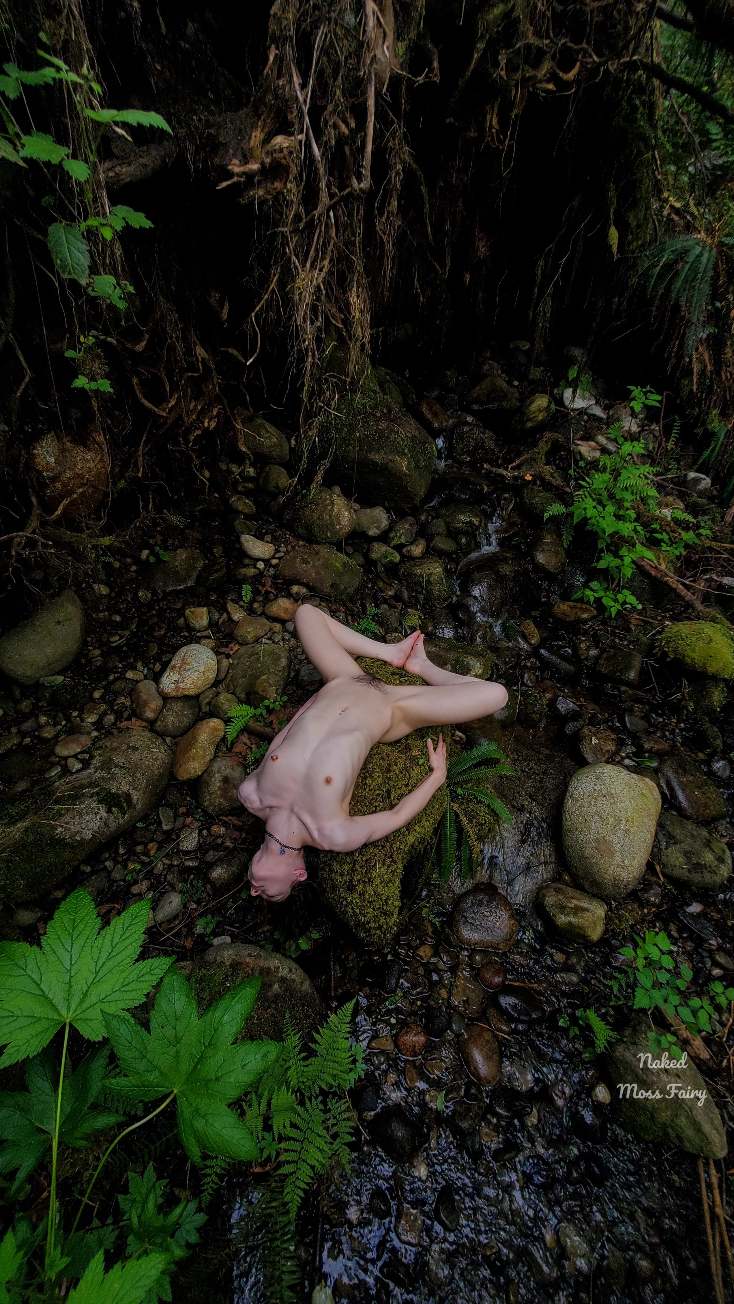 Creating shapes with mother nature🌿