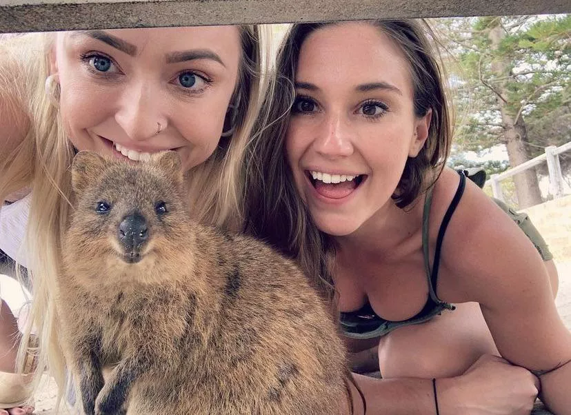 Crikey iutr