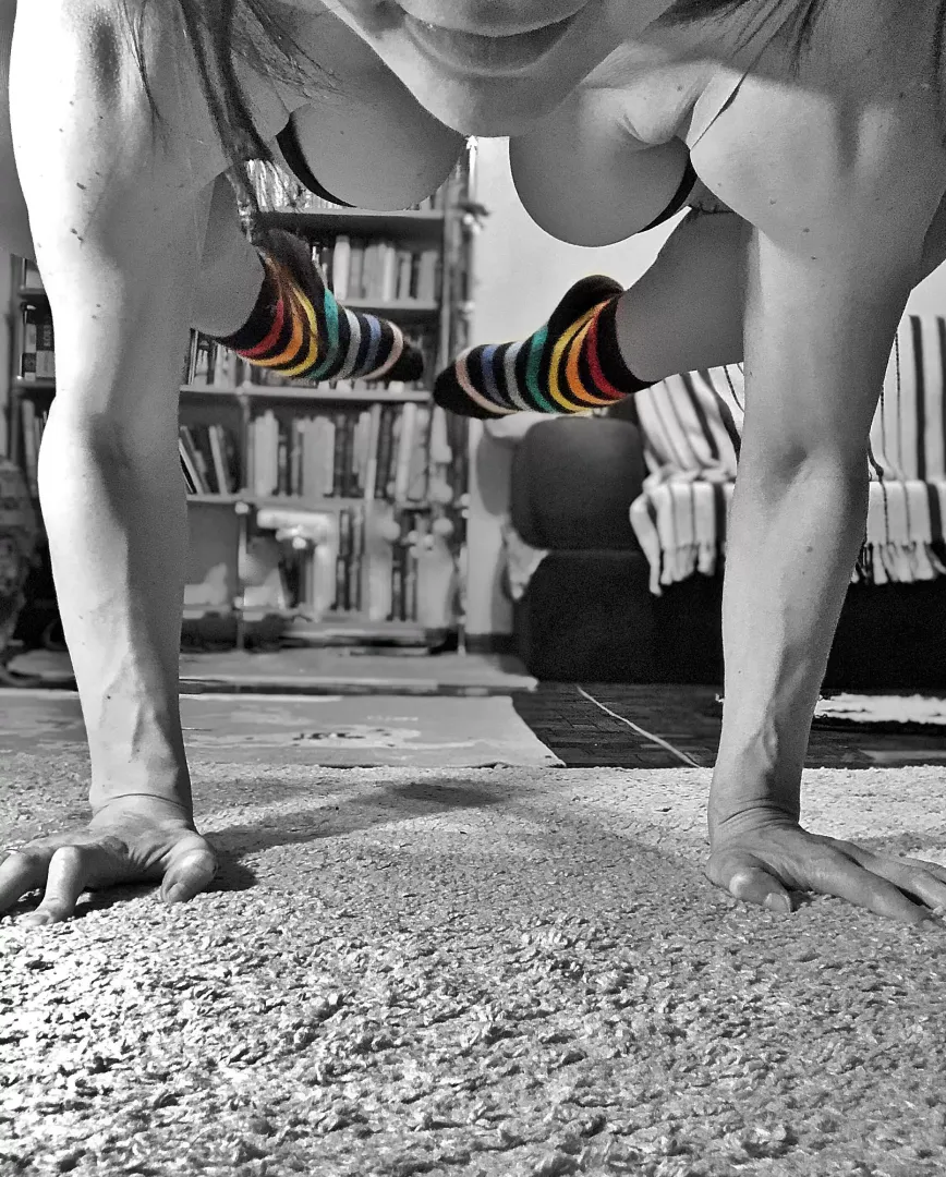 Crow over a rainbow