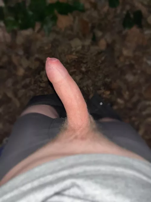 Cruising in the park