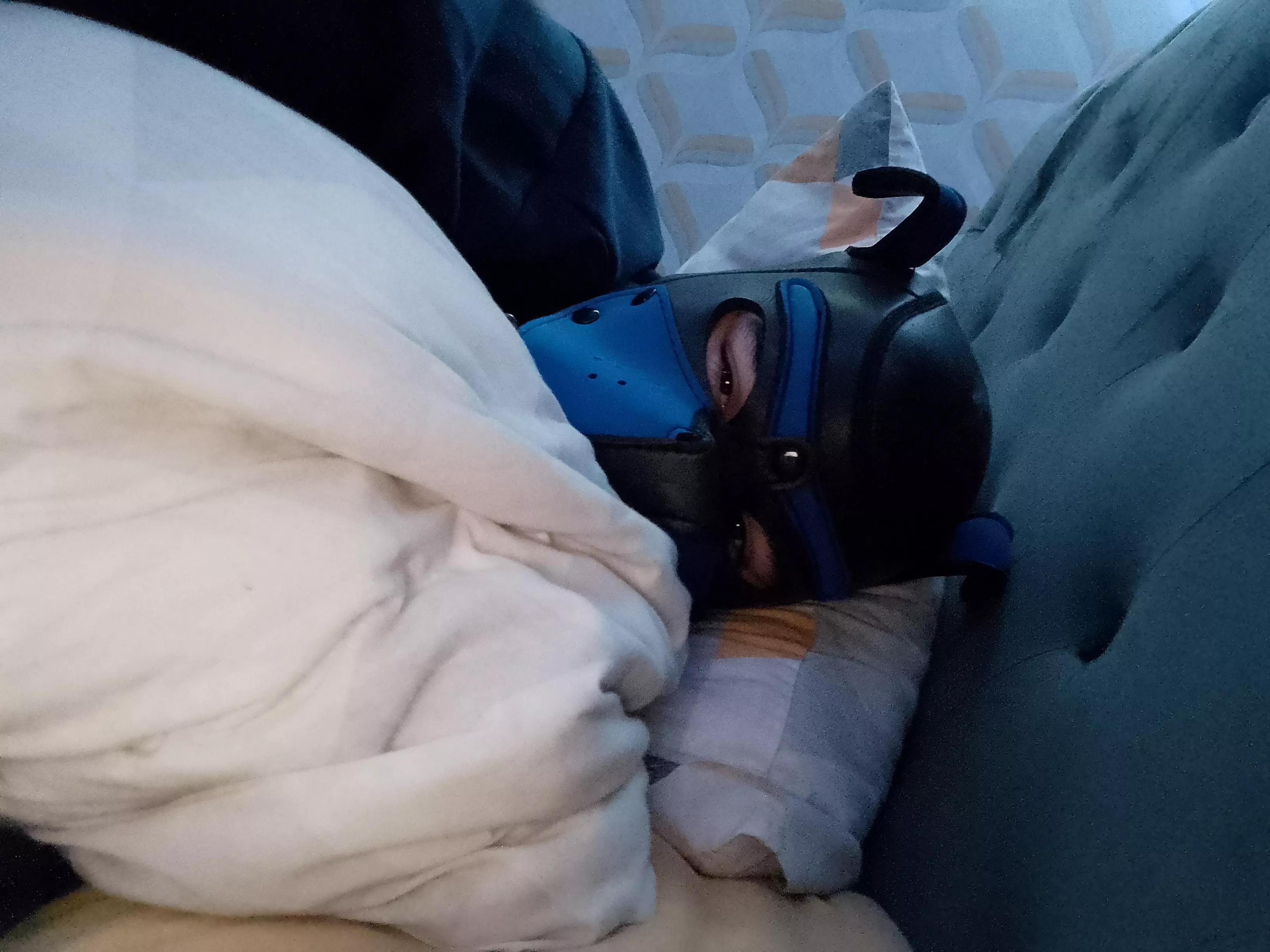Cuddles Please