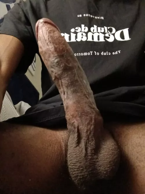 cum do what I say