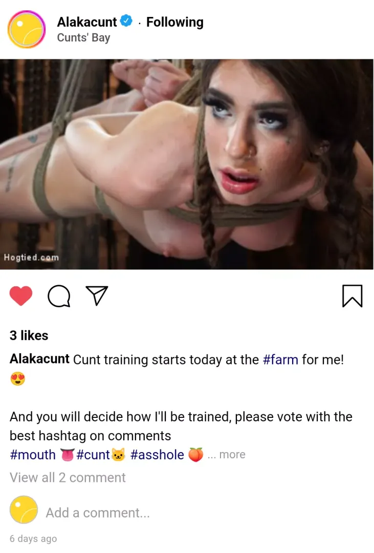 (cuntagram) @alakacunt - you decide my training