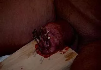 Cursed_penis