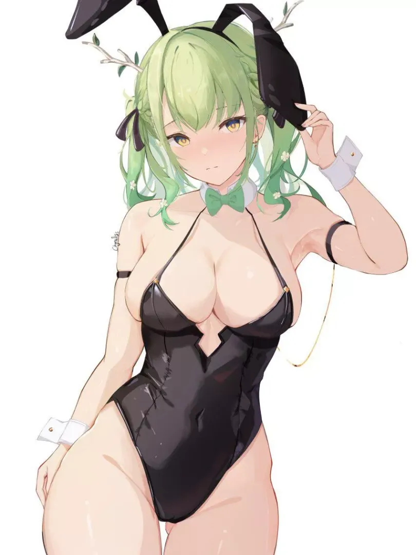 Cute and sexy bunny