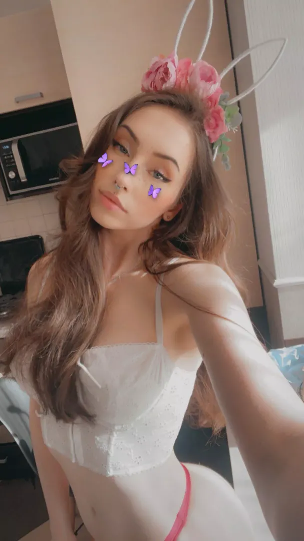 Cute bunny