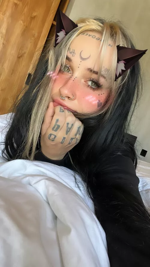 Cute kitty face