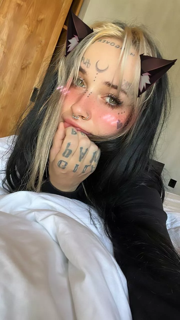 Cute kitty face